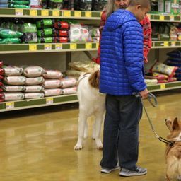 photograph by PeterW